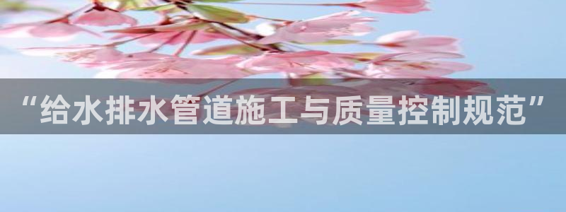 威九国际网站怎么样可靠吗