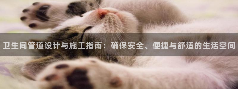 威九国际网站入口官网免费下载