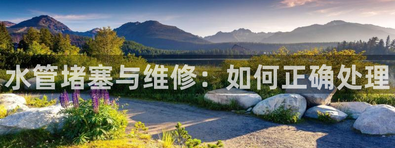 威九国际在线平台怎么样啊