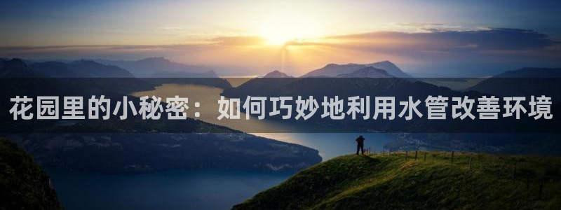 威九国际精选