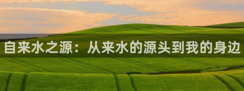 威九国际女星