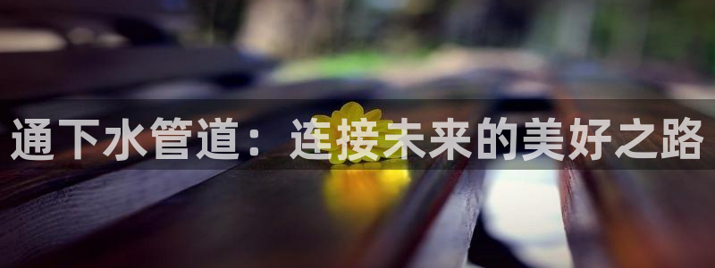 威九code6070