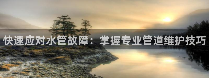 威九国际78m域名