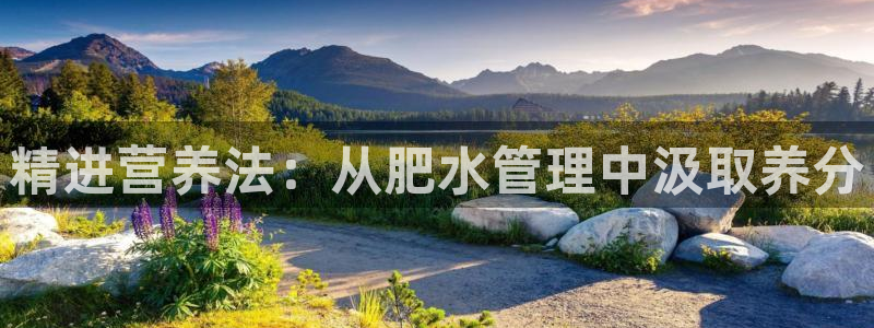 威九国际软件公司简介