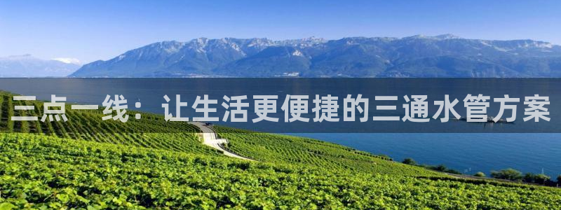 威九国际空降