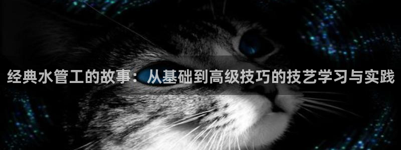 威九国际网站链接怎么打开