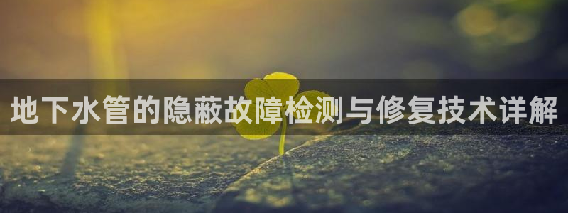 威九国际AN