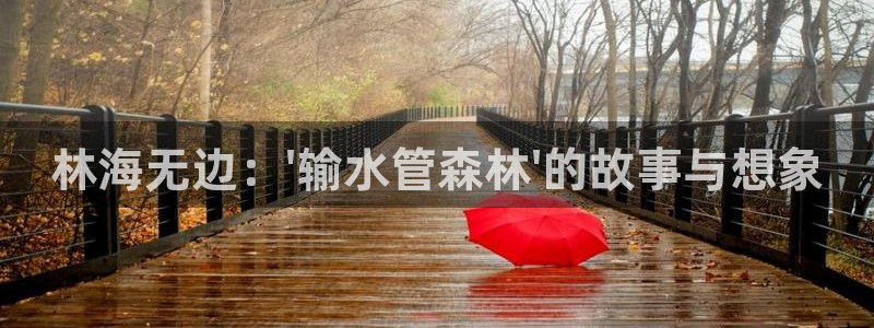 威九国际的演员