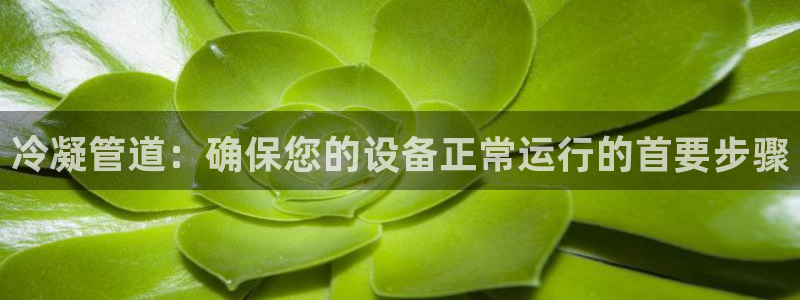威九国际的金融服务怎么样