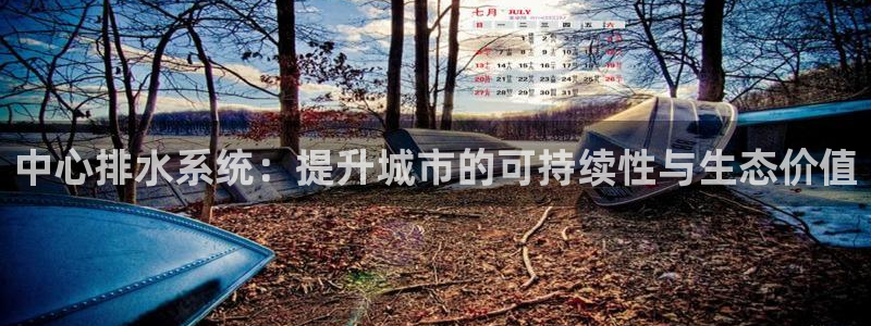 威九国际app网站安全吗