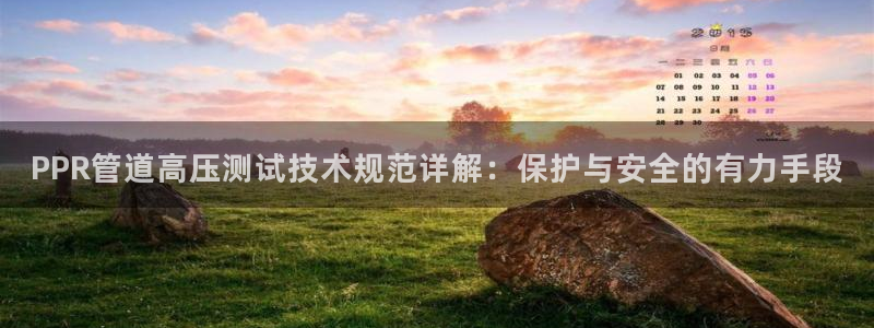 威九国际官网版下载