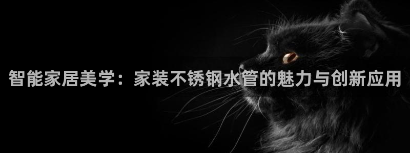 威九国际精彩推荐怎么样