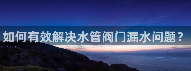 威九国际空降服务女演员名字