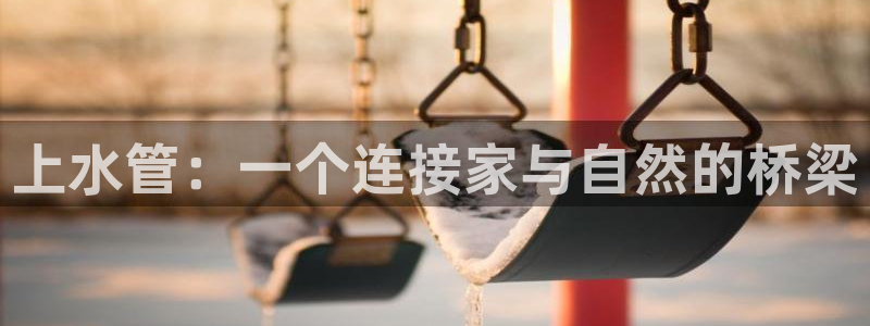 威九国际网站进入客服中心怎么进