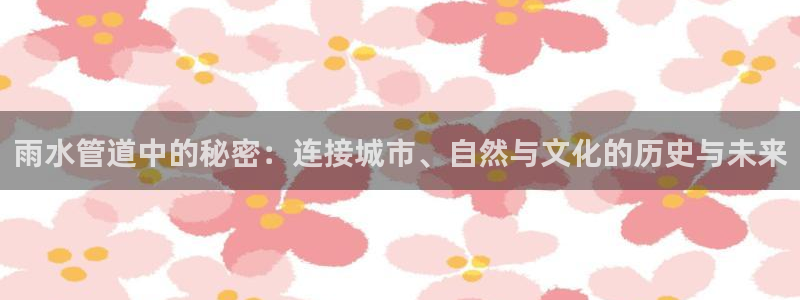 威九国际黄威尼斯