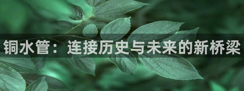 威九国际第一页