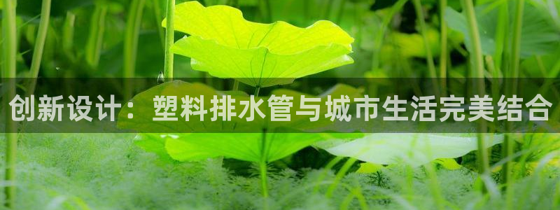 威九国际APP那个地方