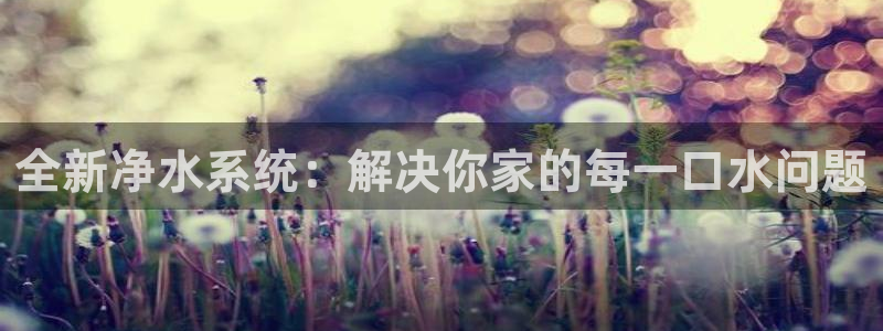 威九国际的金融服务有哪些