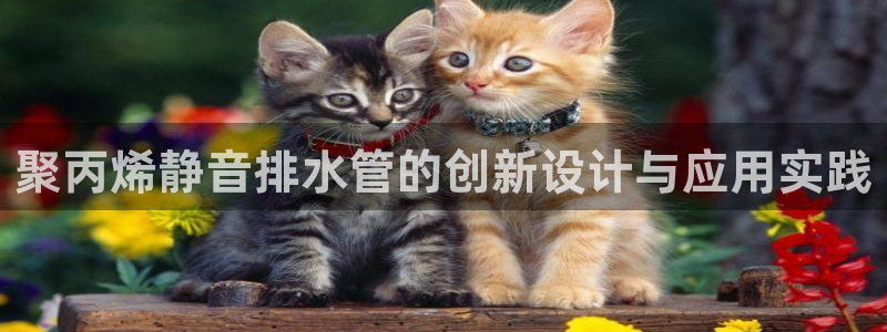威九国际体育