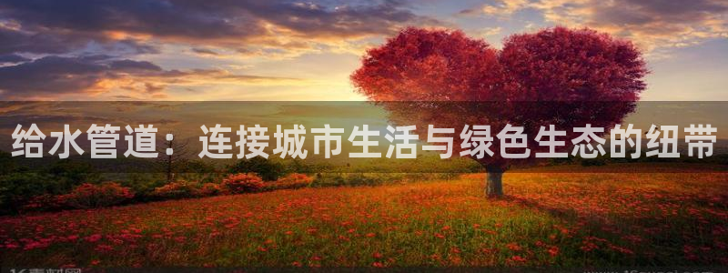 威九国际h5