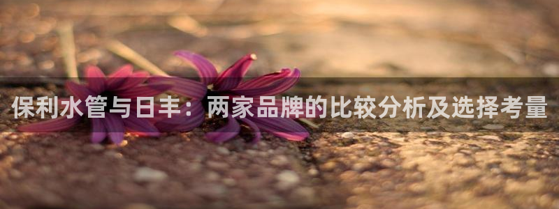 威九国际空降视频