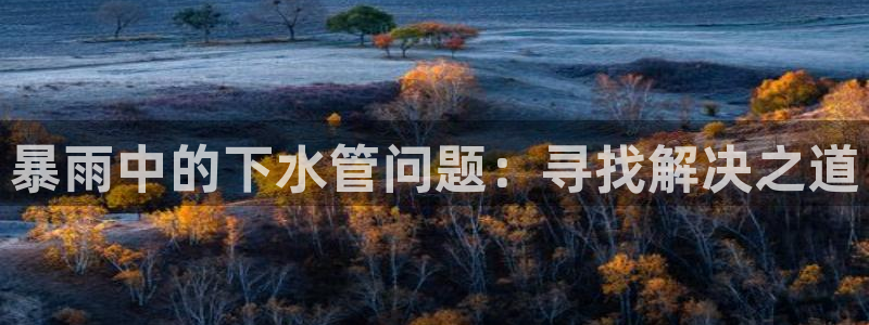 威九国际78M.APP
