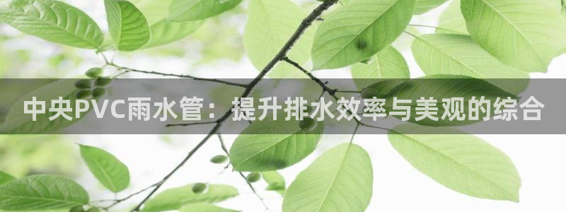 威九国际网站入口官网游戏推荐
