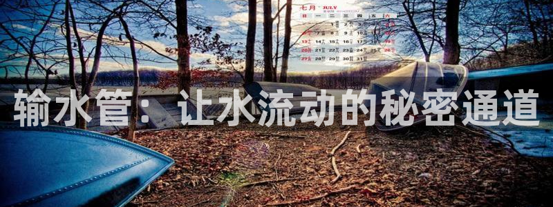 威九国际h5