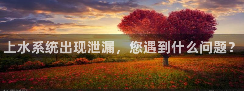 78mapp威九国际官网