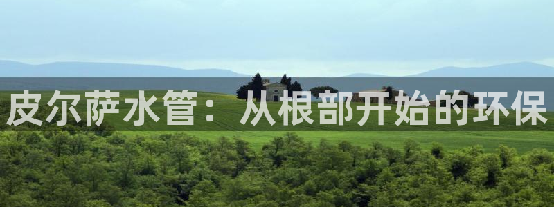 威九国际官网在线进入网站查询