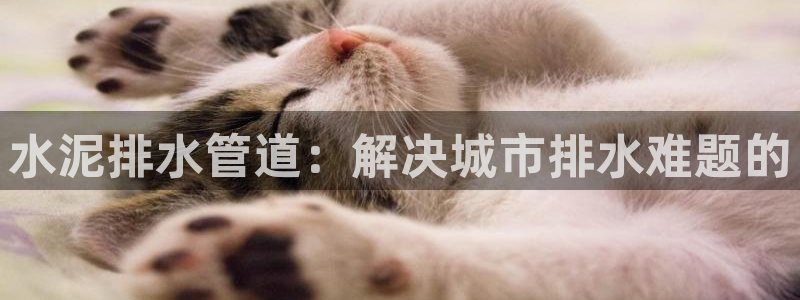 威九国际的金融服务有哪些