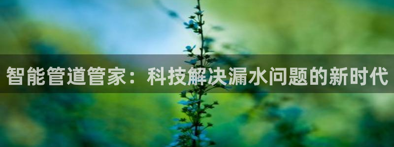 威九国际FF