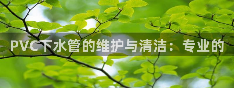 威九国际清砖码头怎么样