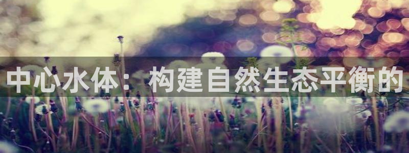 威九国际网站怎么样可靠吗