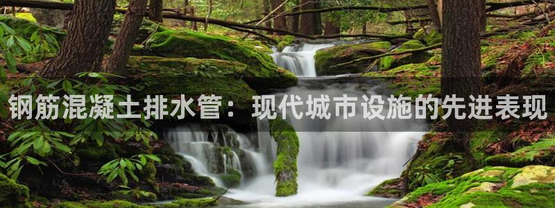 威九国际软件