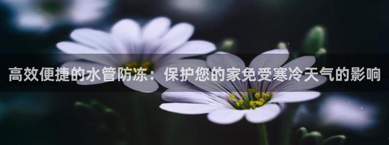 威九国际天美