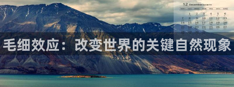 威九国际网站影视