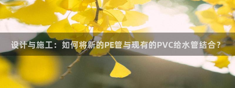 威九国际78mb游戏