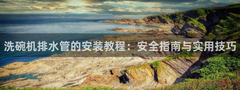 威九国际电子有限公司