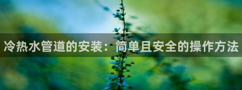 威九国际网站怎么样