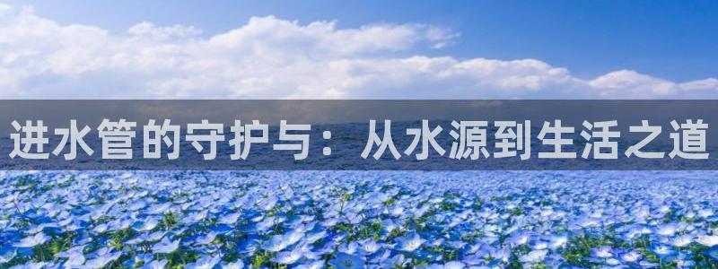 威九国际78免下载