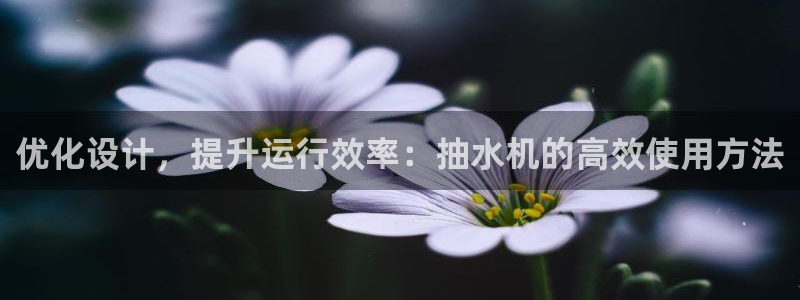 威九国际66m入口