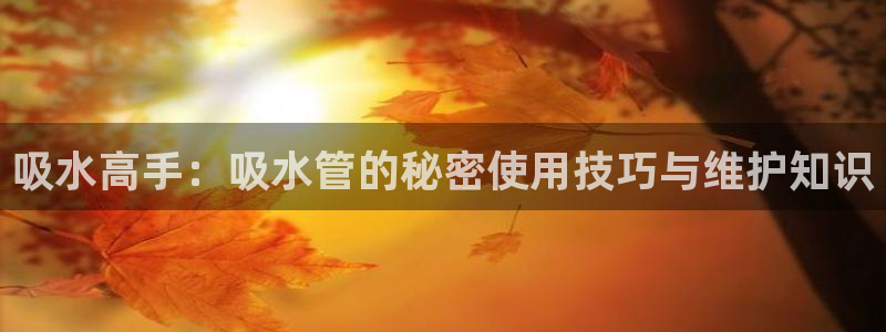 威九国际娜娜