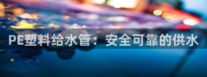 威九国际软件公司简介