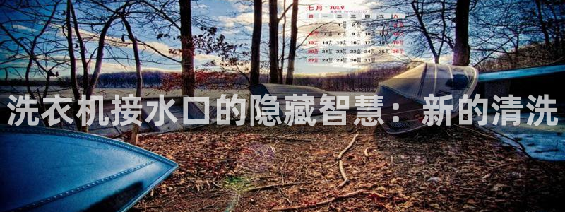 威九国际免费