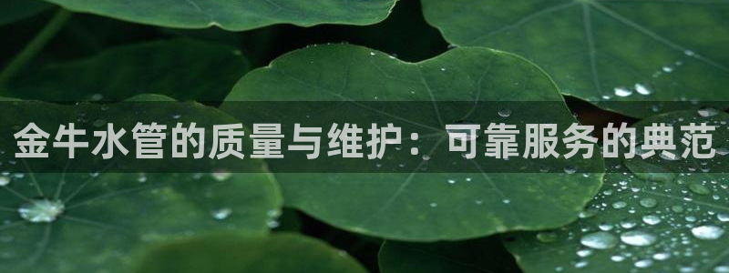 威九国际第一页