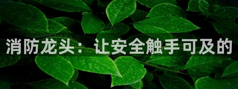 威九国际66m免费下载