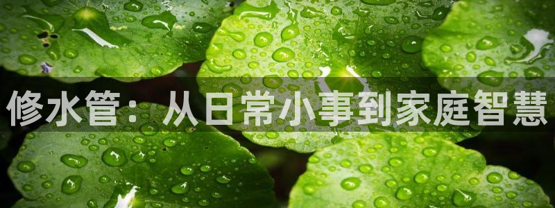 威九国际下载官网app