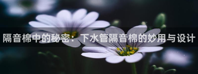 威九国际78ma