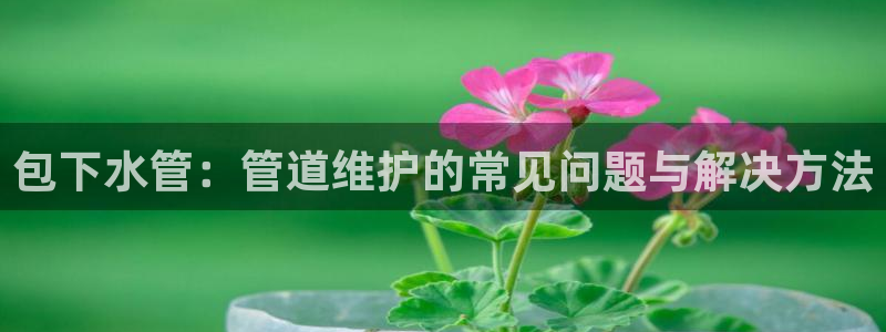 威九国际空降服务怎么样
